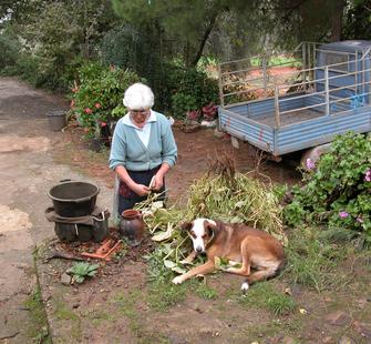An Italian Grandmother